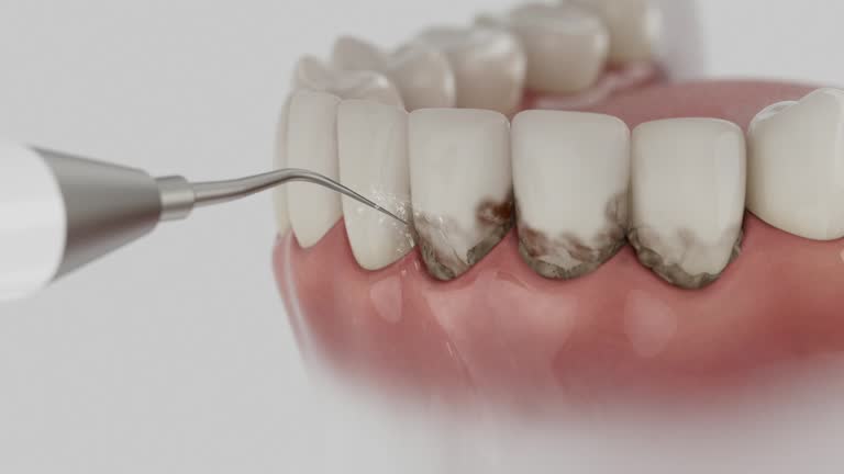 Reliable Dental contractor in Gregory, TX by Dentist Open Now